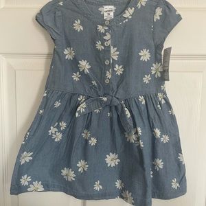 Carter’s Denim dress